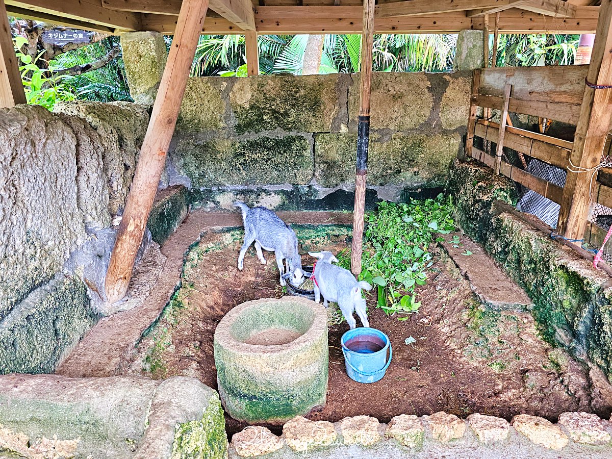 沖繩琉球村｜沖繩恩納村必訪景點・穿琉裝和服、傳統體驗、必看表演一次收錄 @兔兒毛毛姊妹花