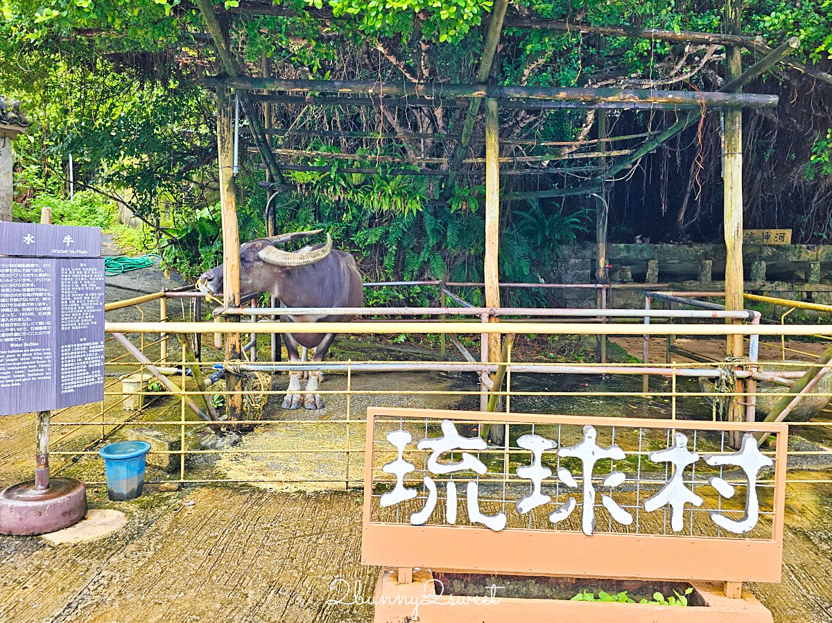 沖繩琉球村｜沖繩恩納村必訪景點・穿琉裝和服、傳統體驗、必看表演一次收錄 @兔兒毛毛姊妹花