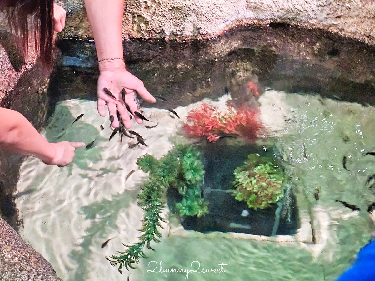 【DMM Kariyushi水族館】2025沖繩親子景點全面升級・懶懶樂園、動物互動區與購物行程攻略 @兔兒毛毛姊妹花