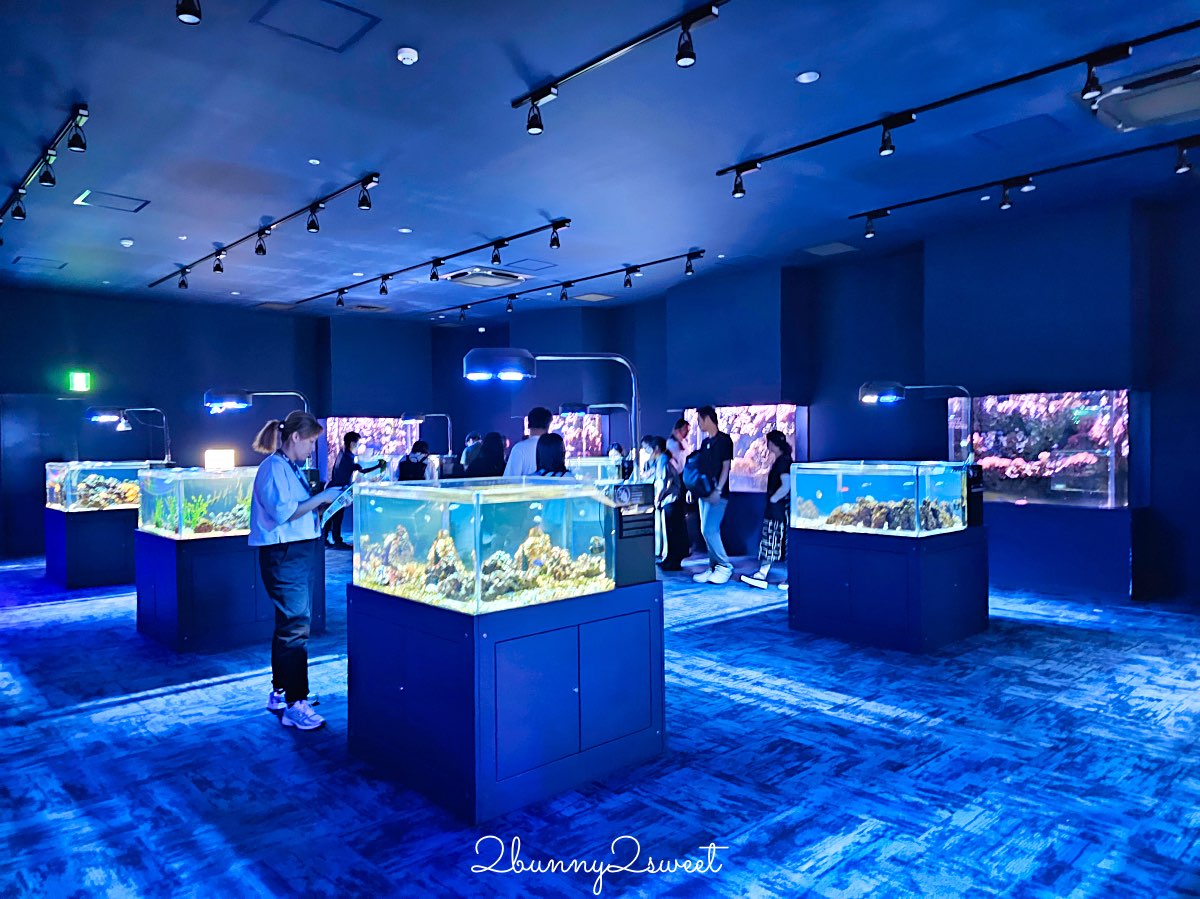 【DMM Kariyushi水族館】2025沖繩親子景點全面升級・懶懶樂園、動物互動區與購物行程攻略 @兔兒毛毛姊妹花