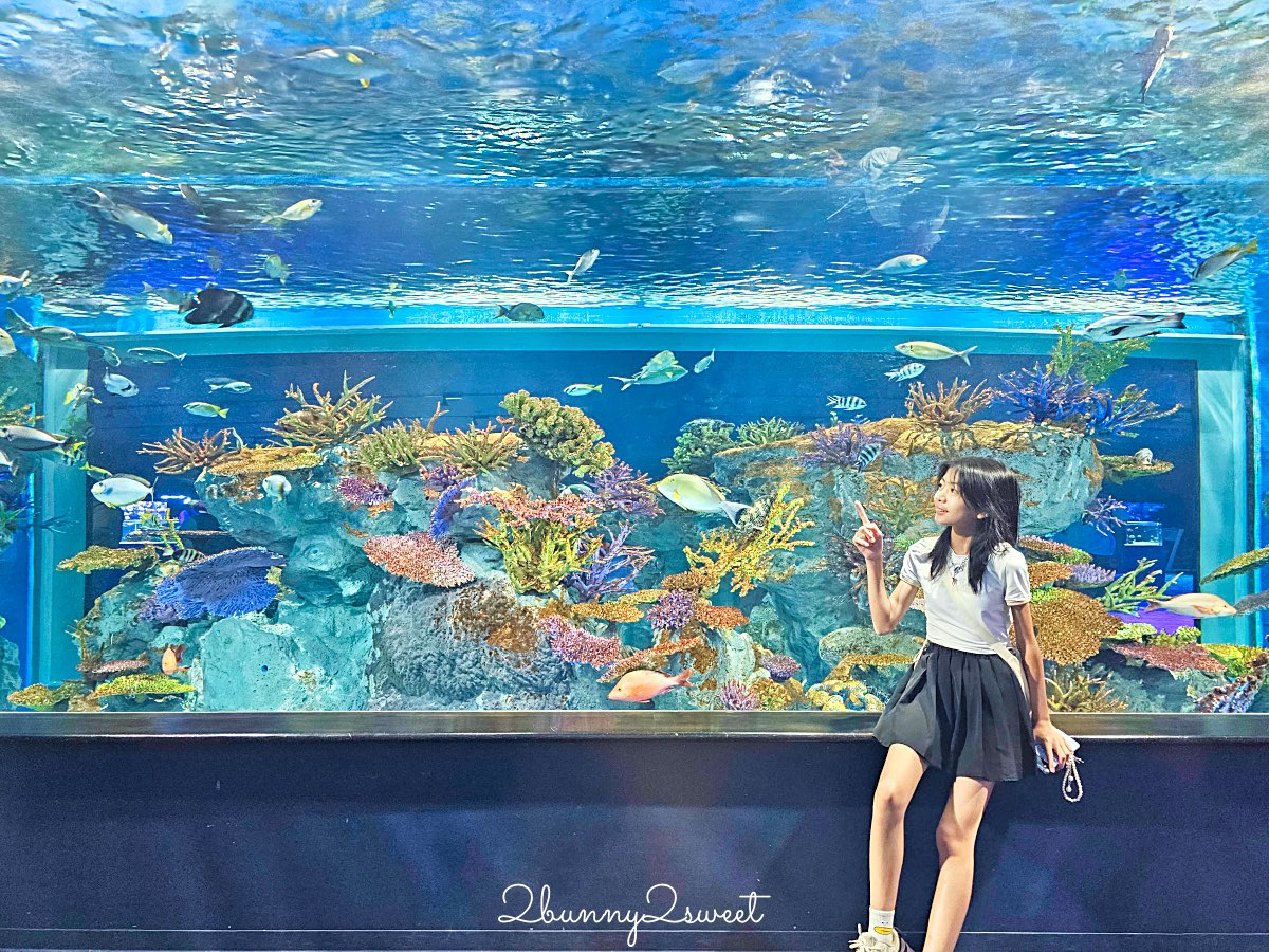 【DMM Kariyushi水族館】2025沖繩親子景點全面升級・懶懶樂園、動物互動區與購物行程攻略 @兔兒毛毛姊妹花