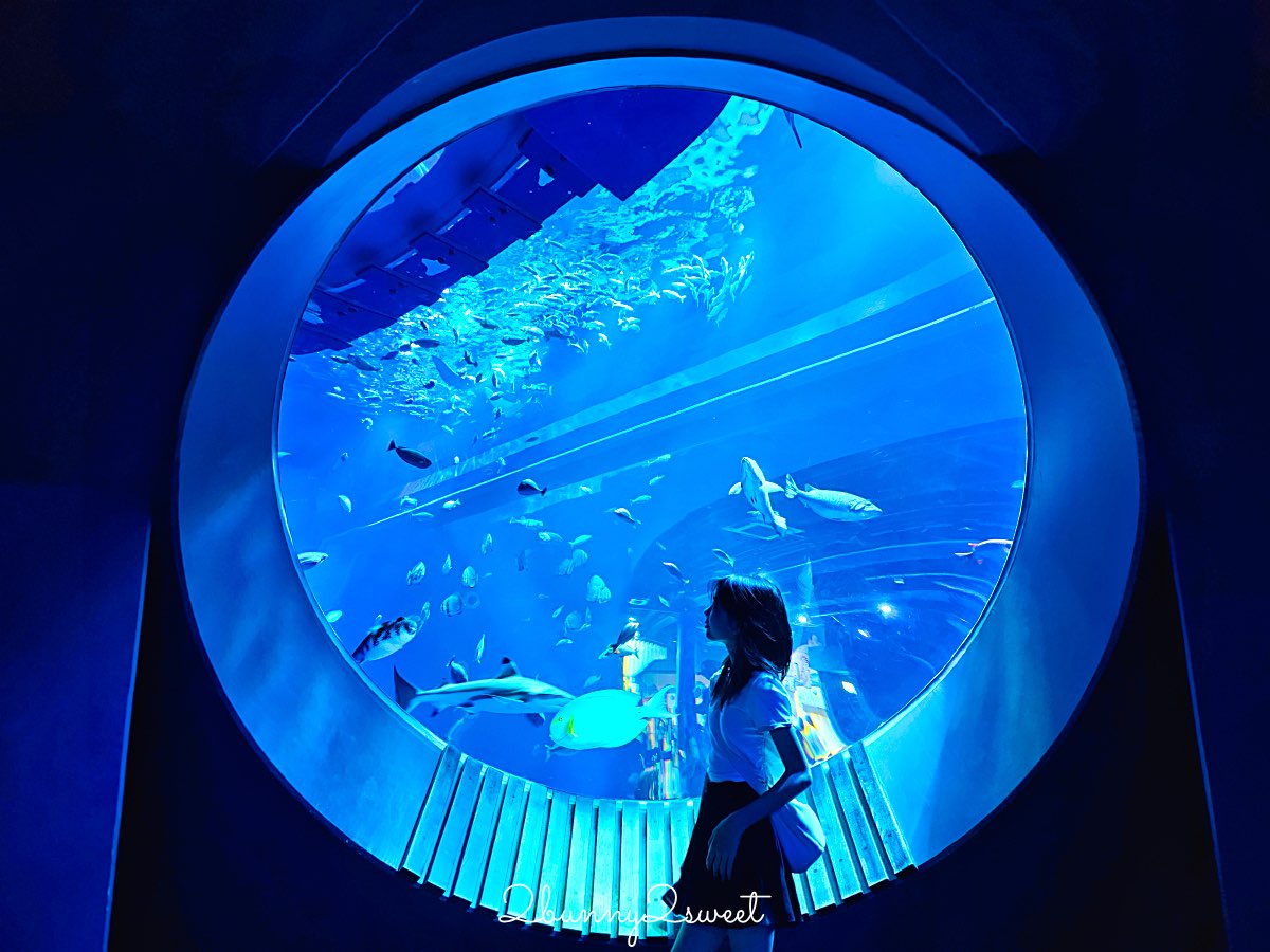 【DMM Kariyushi水族館】2025沖繩親子景點全面升級・懶懶樂園、動物互動區與購物行程攻略 @兔兒毛毛姊妹花