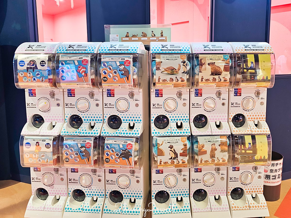 【DMM Kariyushi水族館】2025沖繩親子景點全面升級・懶懶樂園、動物互動區與購物行程攻略 @兔兒毛毛姊妹花