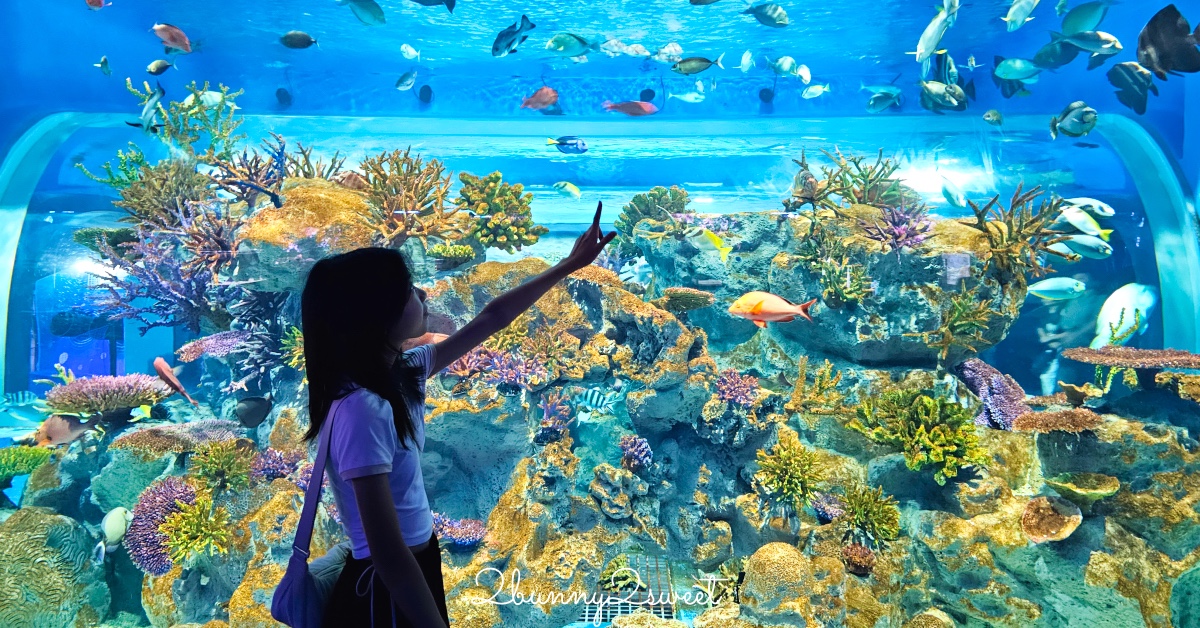 【DMM Kariyushi水族館】2025沖繩親子景點全面升級・懶懶樂園、動物互動區與購物行程攻略 @兔兒毛毛姊妹花