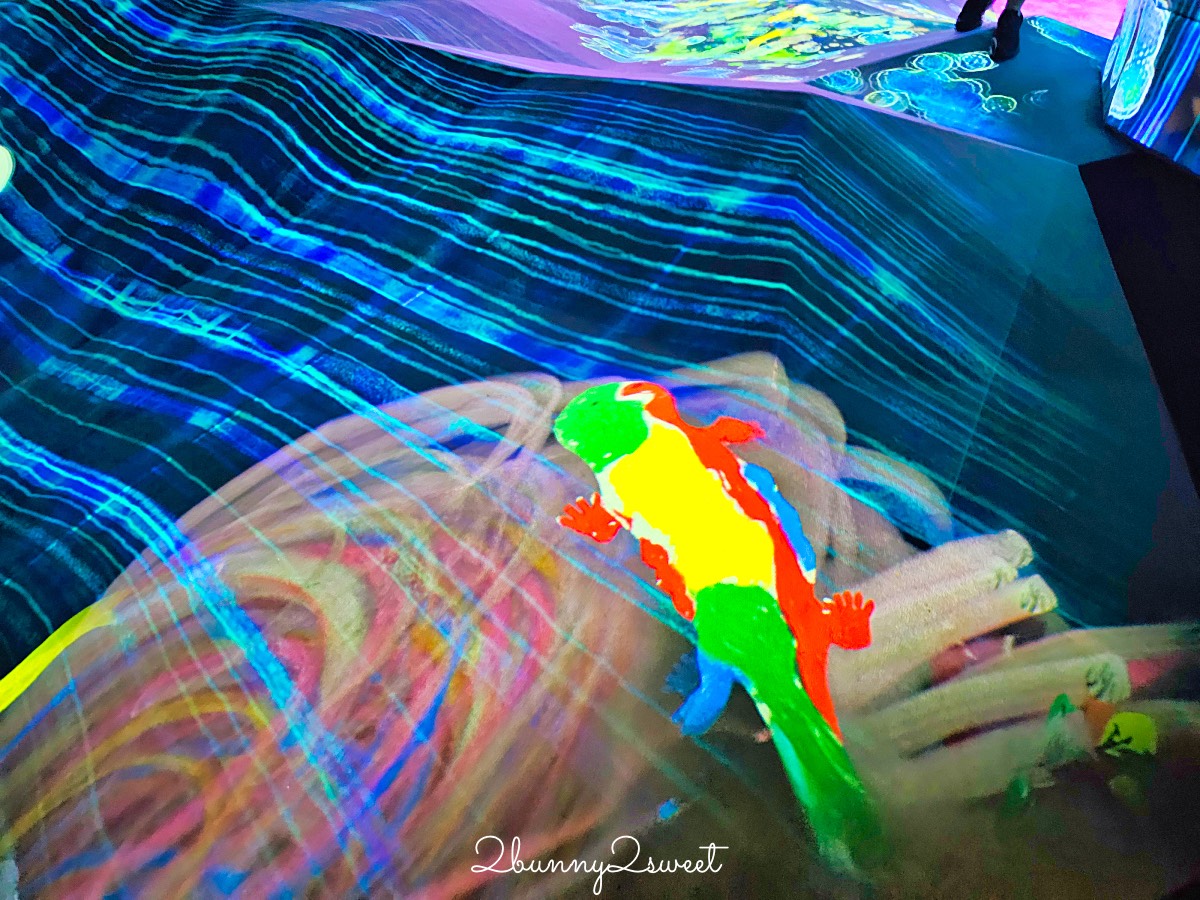 【沖繩 teamLab 未來園】沉浸式光影藝術親子樂園、雨天也能玩的室內景點 @兔兒毛毛姊妹花