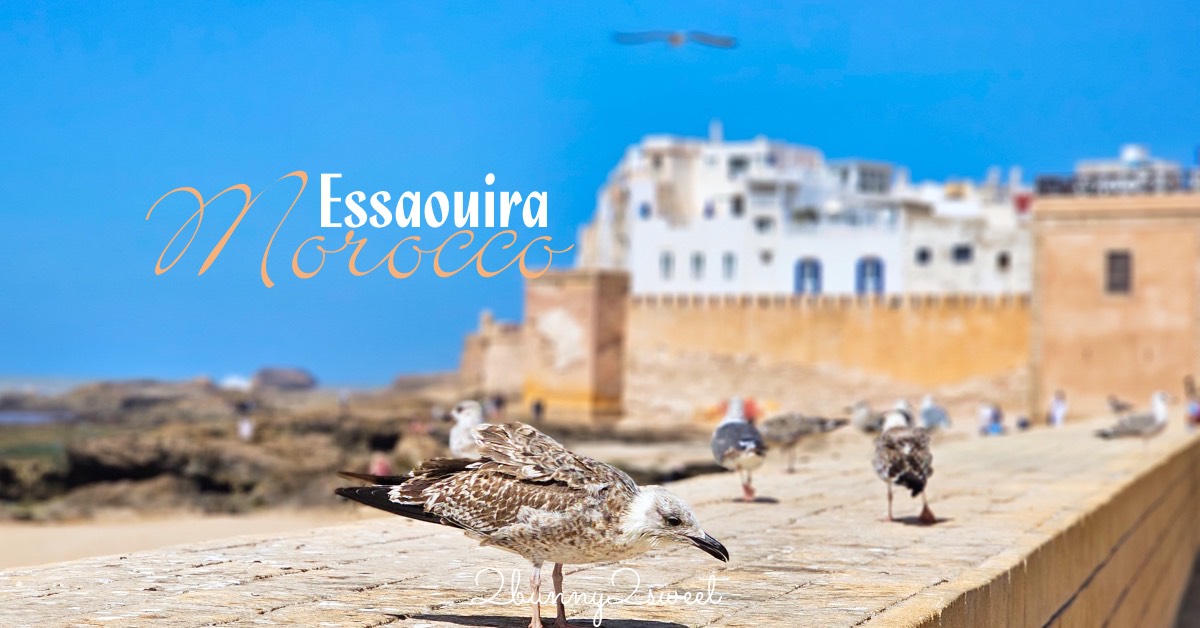 摩洛哥【索維拉 Essaouira】迷人海港古城藍白小鎮，權力遊戲拍攝地點必吃必玩攻略 @兔兒毛毛姊妹花
