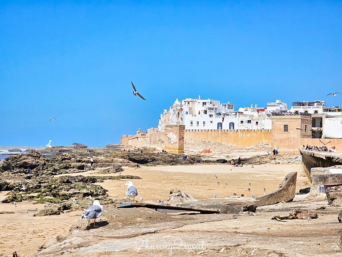 摩洛哥【索維拉 Essaouira】迷人海港古城藍白小鎮，權力遊戲拍攝地點必吃必玩攻略 @兔兒毛毛姊妹花