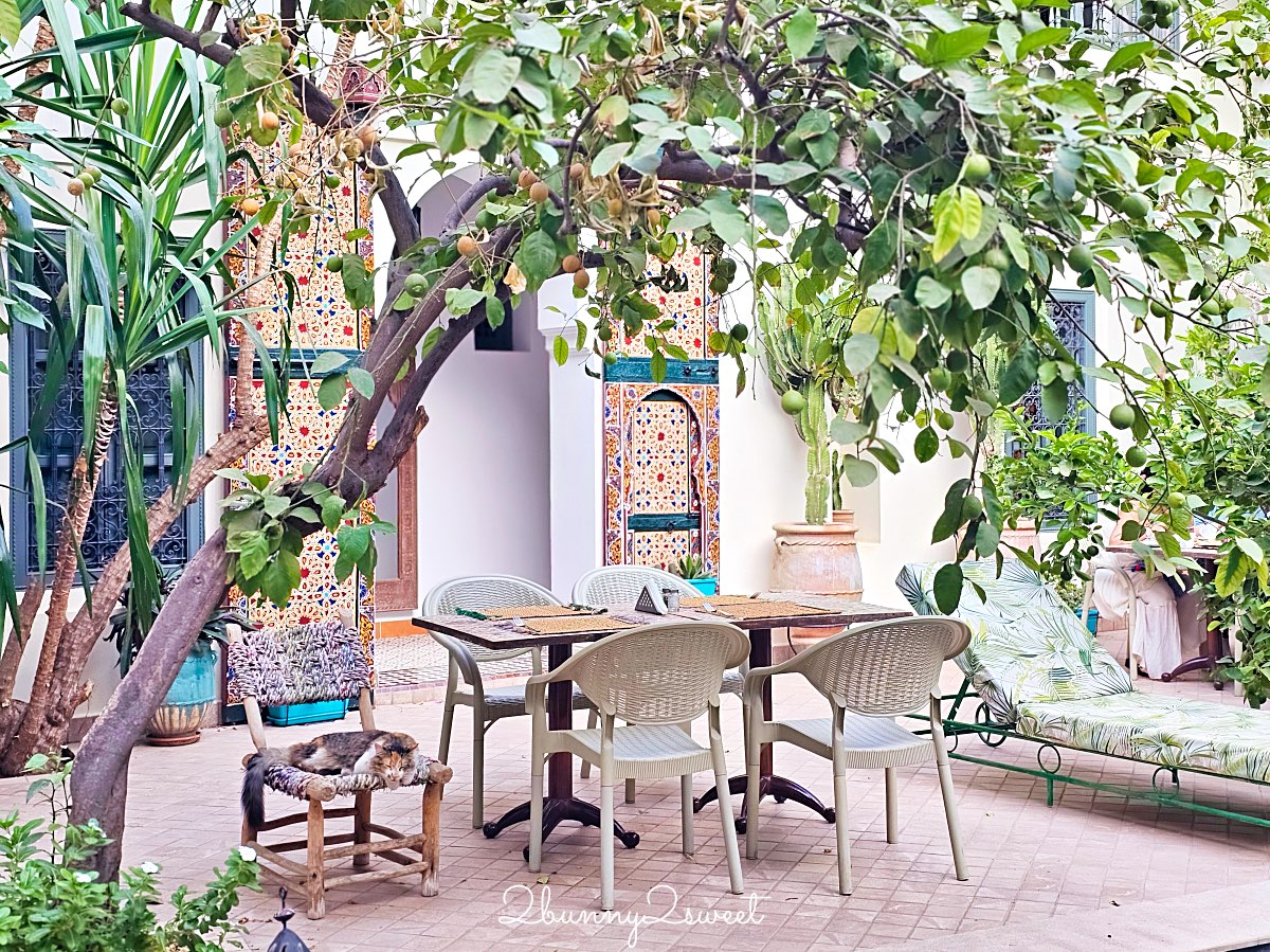 摩洛哥住宿【Riad Les Remparts de La Kasbah】馬拉喀什老城區絕美花園傳統庭院旅館 @兔兒毛毛姊妹花