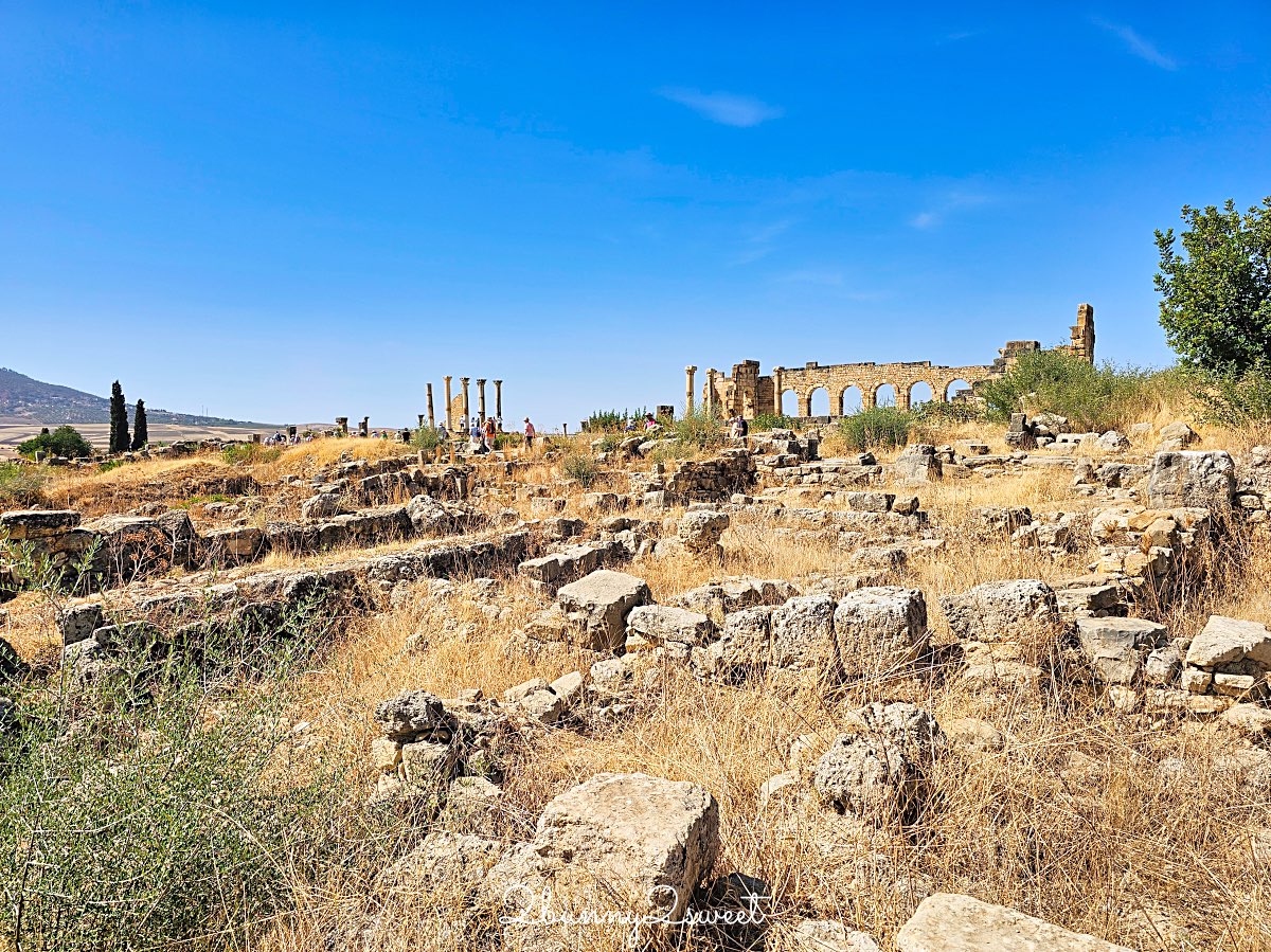 摩洛哥【瓦魯比利斯 Volubilis】千年古城奇蹟！世界遺產羅馬古城遺跡全攻略 @兔兒毛毛姊妹花