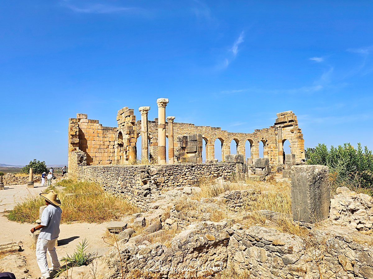 摩洛哥【瓦魯比利斯 Volubilis】千年古城奇蹟！世界遺產羅馬古城遺跡全攻略 @兔兒毛毛姊妹花