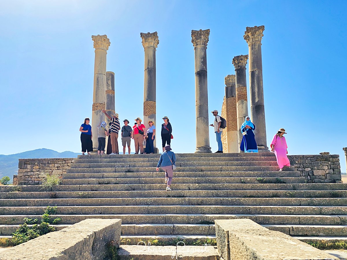 摩洛哥【瓦魯比利斯 Volubilis】千年古城奇蹟！世界遺產羅馬古城遺跡全攻略 @兔兒毛毛姊妹花