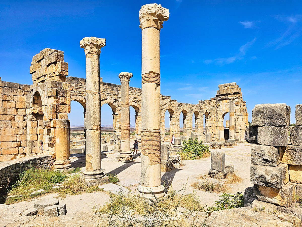 摩洛哥【瓦魯比利斯 Volubilis】千年古城奇蹟！世界遺產羅馬古城遺跡全攻略 @兔兒毛毛姊妹花