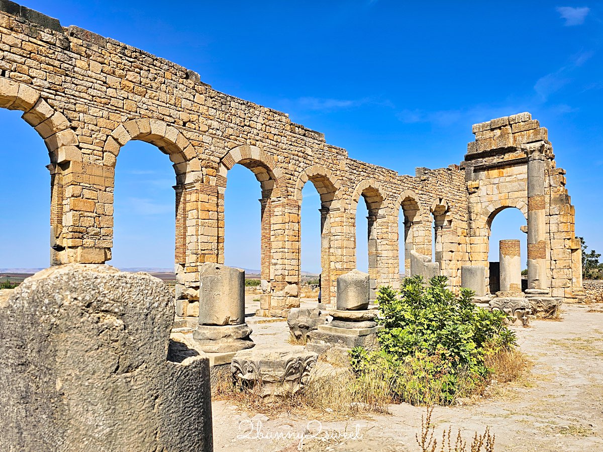 摩洛哥【瓦魯比利斯 Volubilis】千年古城奇蹟！世界遺產羅馬古城遺跡全攻略 @兔兒毛毛姊妹花