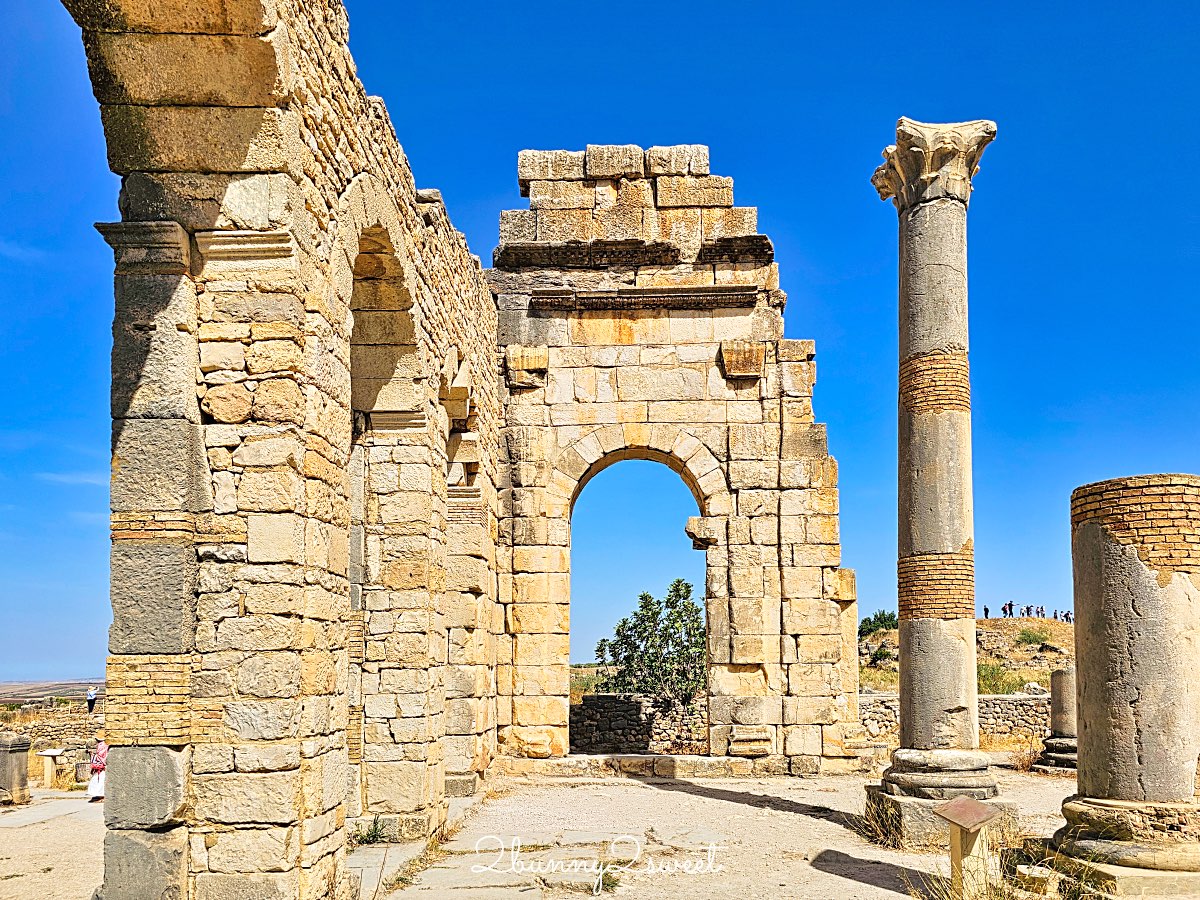摩洛哥【瓦魯比利斯 Volubilis】千年古城奇蹟！世界遺產羅馬古城遺跡全攻略 @兔兒毛毛姊妹花