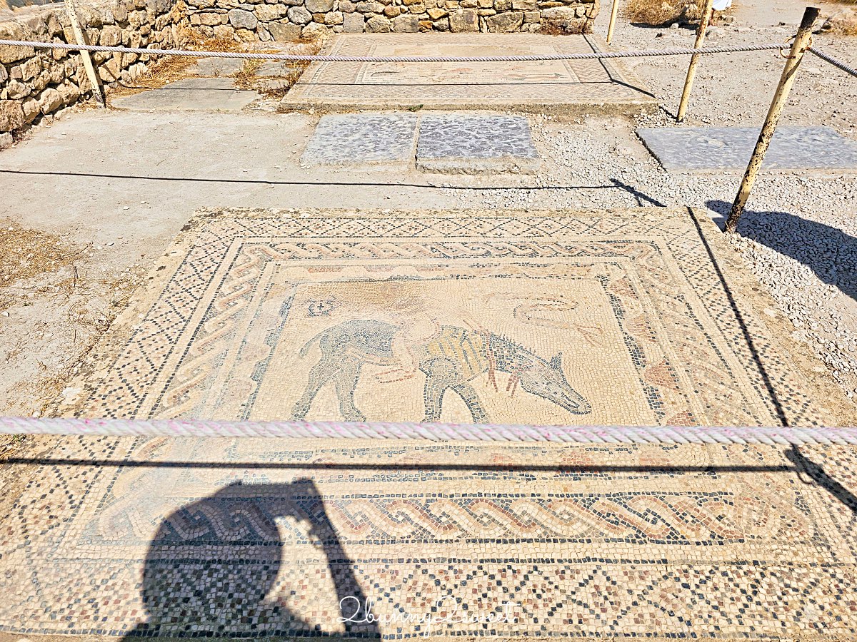 摩洛哥【瓦魯比利斯 Volubilis】千年古城奇蹟！世界遺產羅馬古城遺跡全攻略 @兔兒毛毛姊妹花