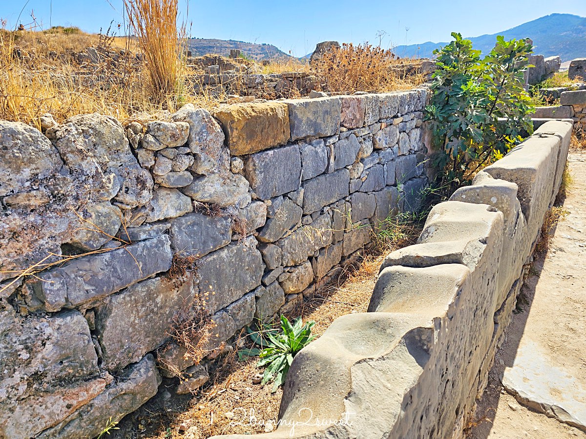 摩洛哥【瓦魯比利斯 Volubilis】千年古城奇蹟！世界遺產羅馬古城遺跡全攻略 @兔兒毛毛姊妹花