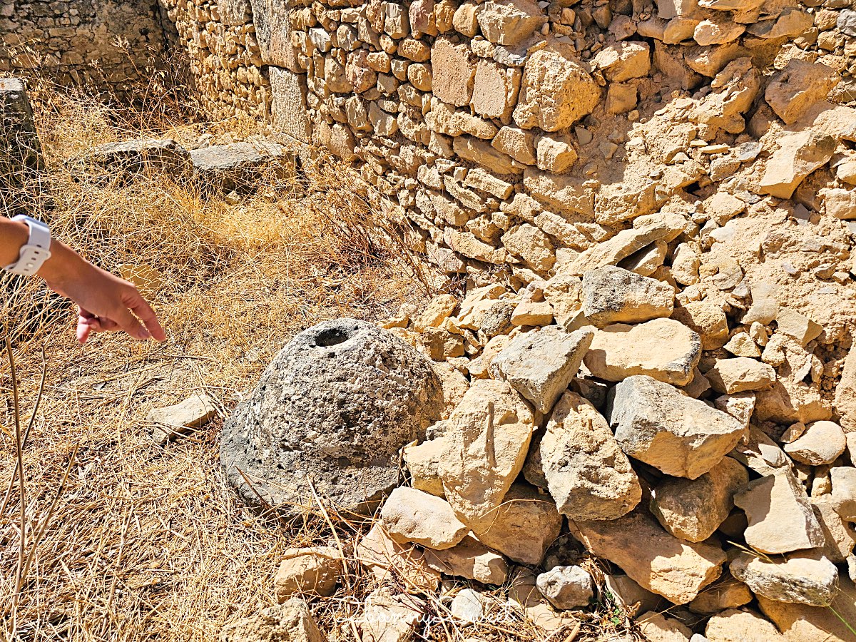 摩洛哥【瓦魯比利斯 Volubilis】千年古城奇蹟！世界遺產羅馬古城遺跡全攻略 @兔兒毛毛姊妹花