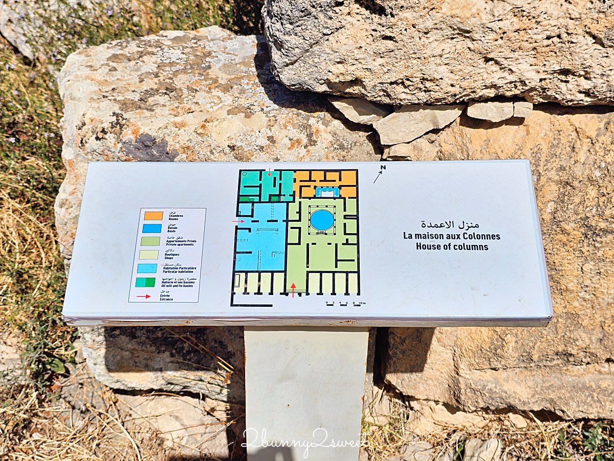 摩洛哥【瓦魯比利斯 Volubilis】千年古城奇蹟！世界遺產羅馬古城遺跡全攻略 @兔兒毛毛姊妹花
