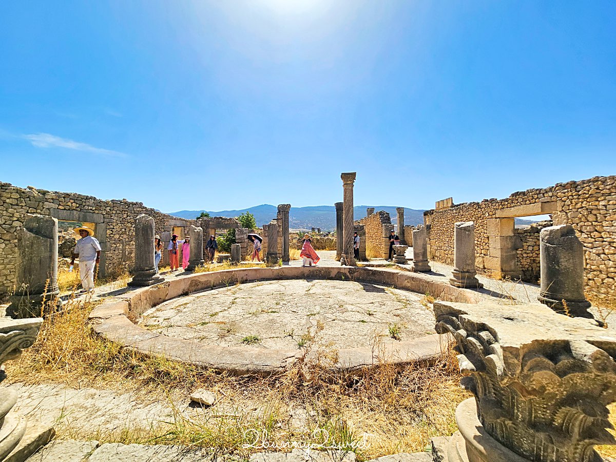 摩洛哥【瓦魯比利斯 Volubilis】千年古城奇蹟！世界遺產羅馬古城遺跡全攻略 @兔兒毛毛姊妹花