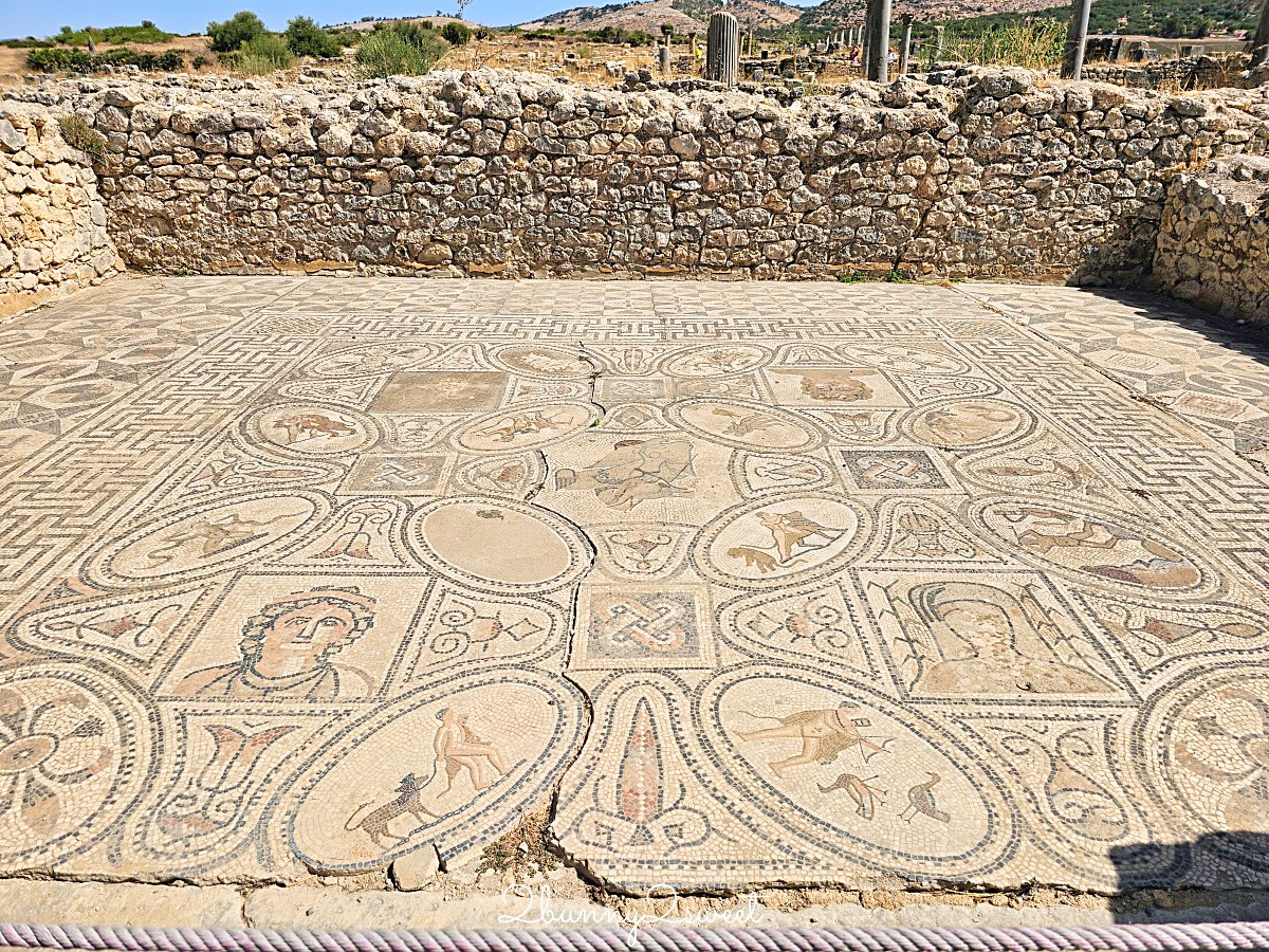 摩洛哥【瓦魯比利斯 Volubilis】千年古城奇蹟！世界遺產羅馬古城遺跡全攻略 @兔兒毛毛姊妹花