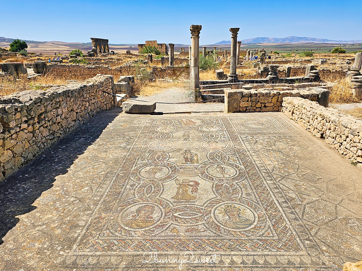 摩洛哥【瓦魯比利斯 Volubilis】千年古城奇蹟！世界遺產羅馬古城遺跡全攻略 @兔兒毛毛姊妹花