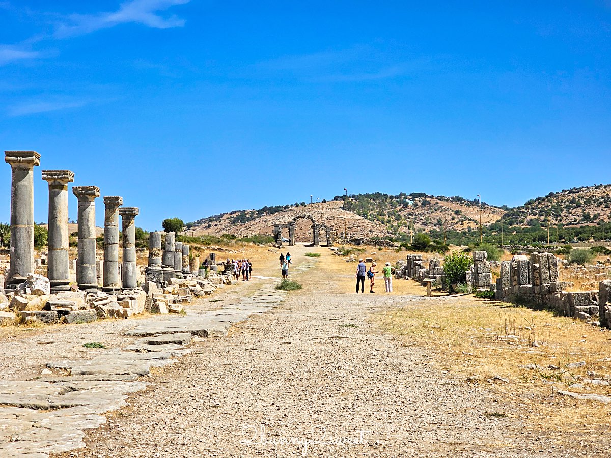 摩洛哥【瓦魯比利斯 Volubilis】千年古城奇蹟！世界遺產羅馬古城遺跡全攻略 @兔兒毛毛姊妹花
