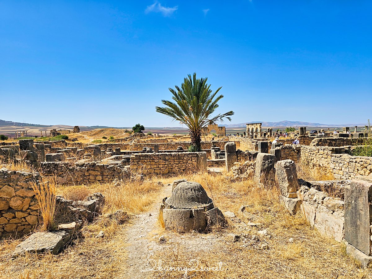 摩洛哥【瓦魯比利斯 Volubilis】千年古城奇蹟！世界遺產羅馬古城遺跡全攻略 @兔兒毛毛姊妹花