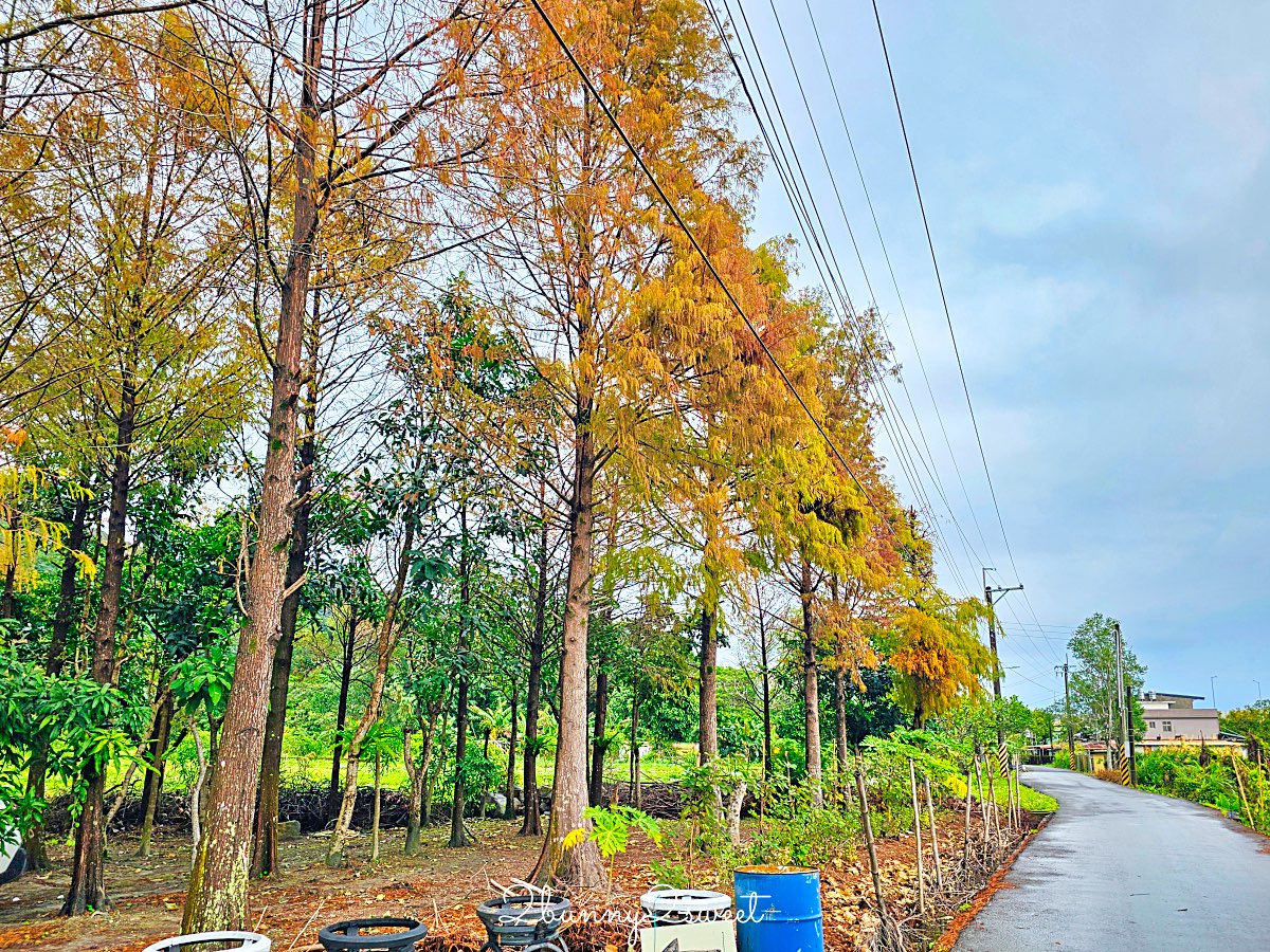 【白雲山鹿】礁溪早餐推薦～粉漿蛋餅、蘿蔔糕、花生湯，礁溪必吃台式早餐 @兔兒毛毛姊妹花