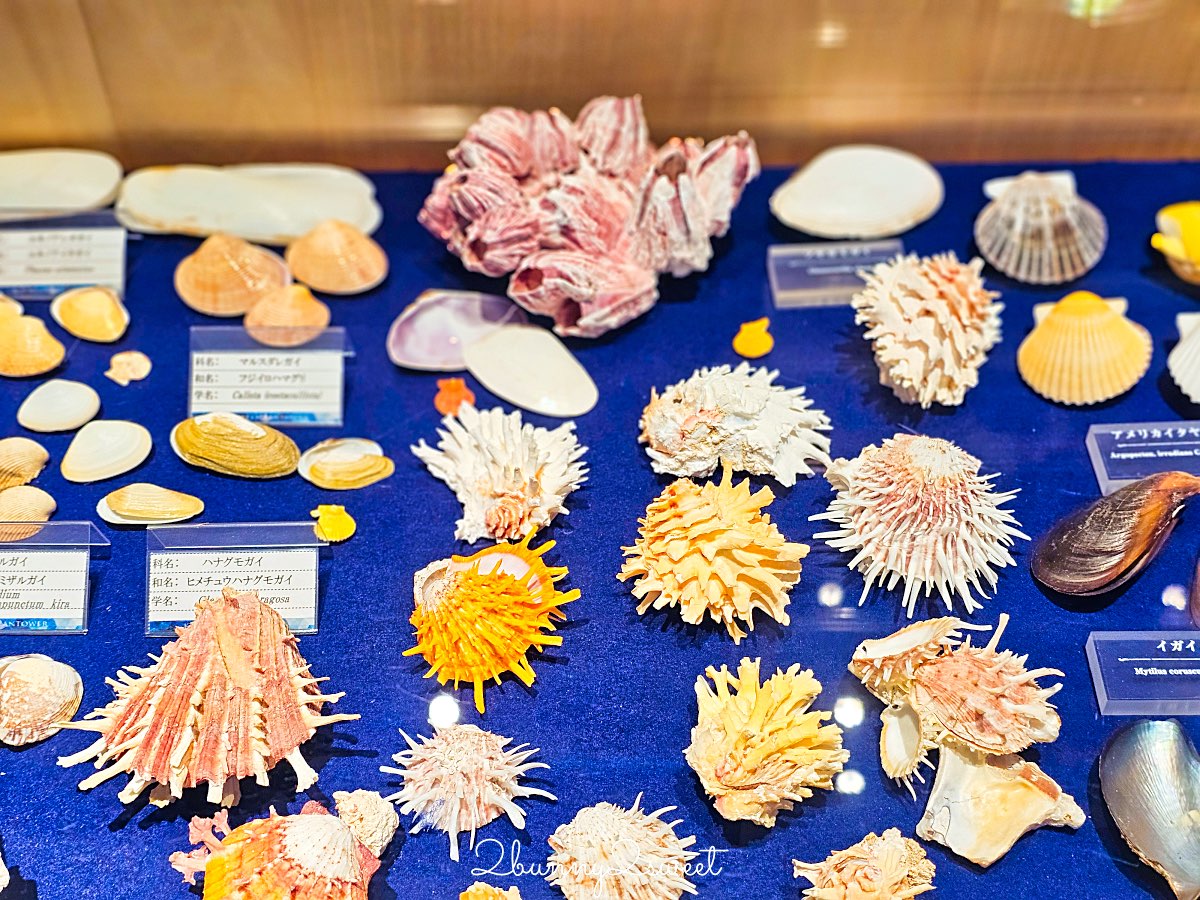 【古宇利海洋塔】室內看海＋戶外展望台一次收錄古宇利大橋全景，親子也適合的北部景點 @兔兒毛毛姊妹花
