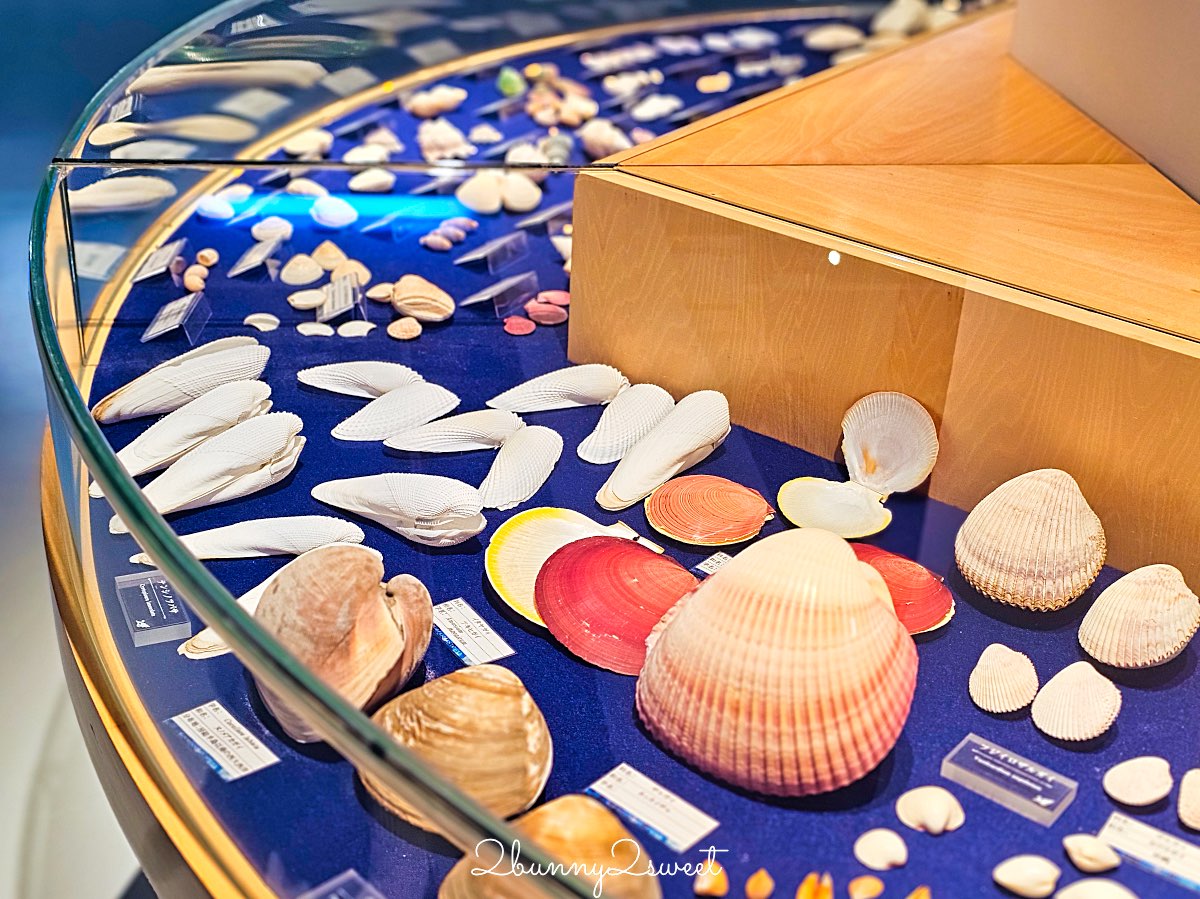 【古宇利海洋塔】室內看海＋戶外展望台一次收錄古宇利大橋全景，親子也適合的北部景點 @兔兒毛毛姊妹花