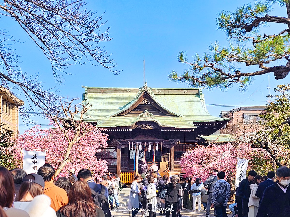 【櫻神宮】東京最夢幻櫻花神社！河津櫻、粉紅祈願緞帶、必收蕾絲御守的東京早櫻景點 @兔兒毛毛姊妹花