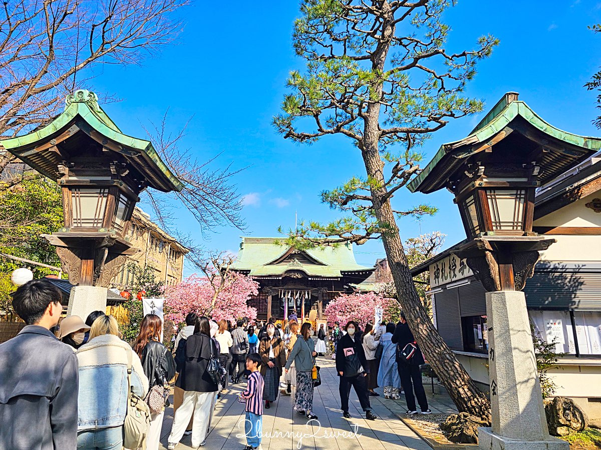 【櫻神宮】東京最夢幻櫻花神社！河津櫻、粉紅祈願緞帶、必收蕾絲御守的東京早櫻景點 @兔兒毛毛姊妹花