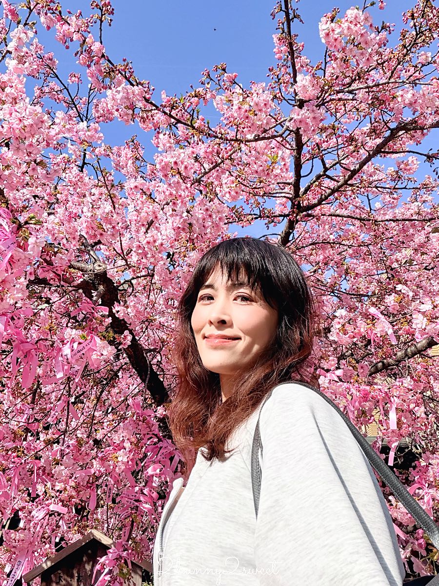 【櫻神宮】東京最夢幻櫻花神社！河津櫻、粉紅祈願緞帶、必收蕾絲御守的東京早櫻景點 @兔兒毛毛姊妹花