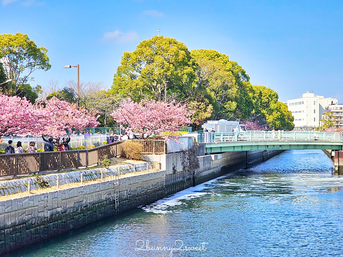 【大橫川散步道】東京河津櫻景點推薦：木場公園旁滿開櫻花步道，東京2月賞櫻推薦早櫻秘境 @兔兒毛毛姊妹花