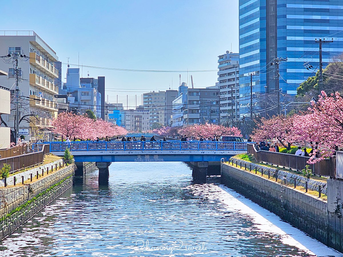 【大橫川散步道】東京河津櫻景點推薦：木場公園旁滿開櫻花步道，東京2月賞櫻推薦早櫻秘境 @兔兒毛毛姊妹花