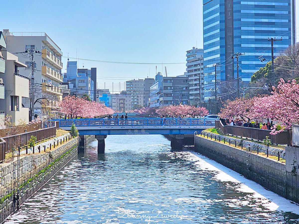 【大橫川散步道】東京河津櫻景點推薦：木場公園旁滿開櫻花步道，東京2月賞櫻推薦早櫻秘境 @兔兒毛毛姊妹花