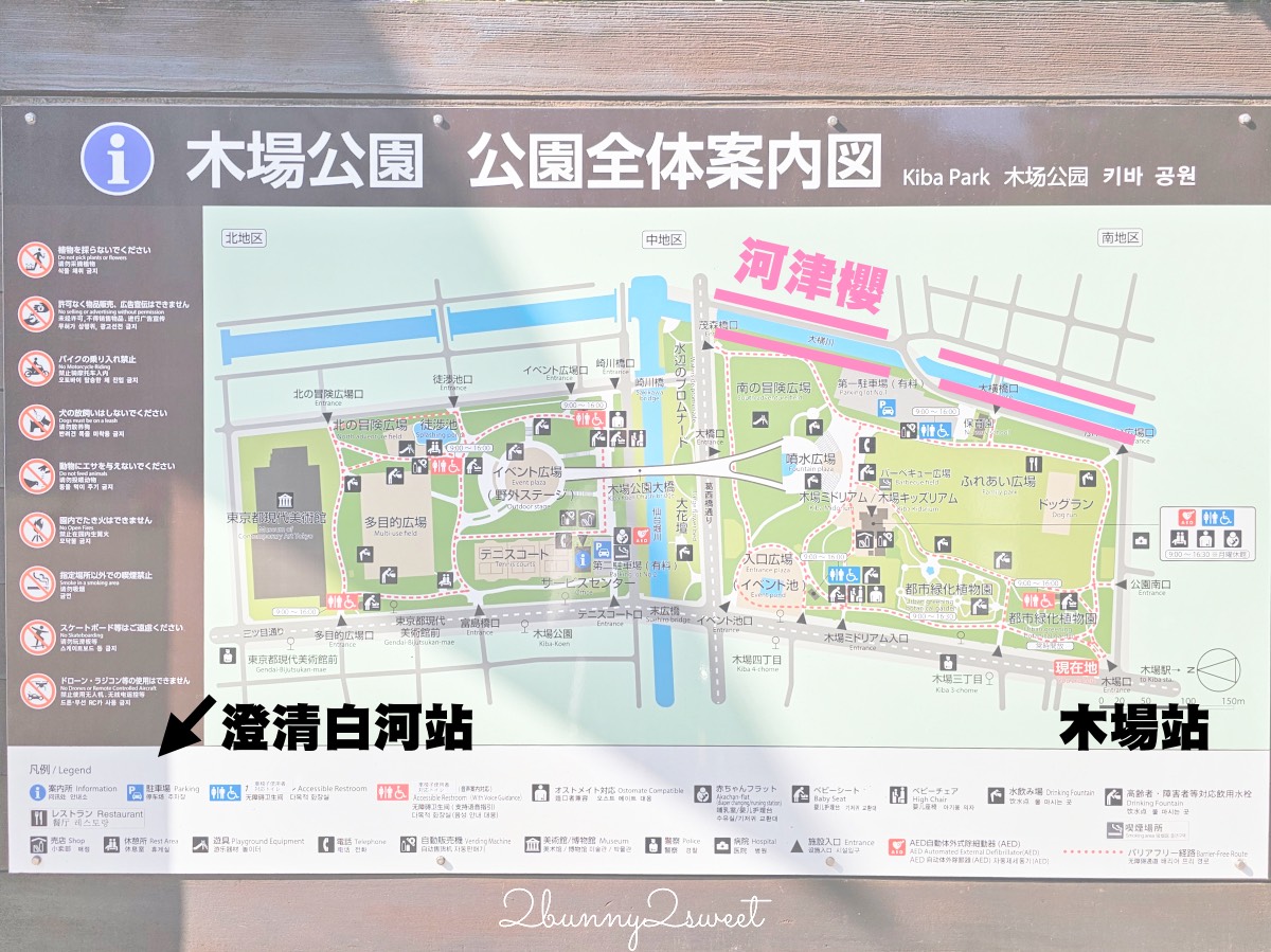 【大橫川散步道】東京河津櫻景點推薦：木場公園旁滿開櫻花步道，東京2月賞櫻推薦早櫻秘境 @兔兒毛毛姊妹花