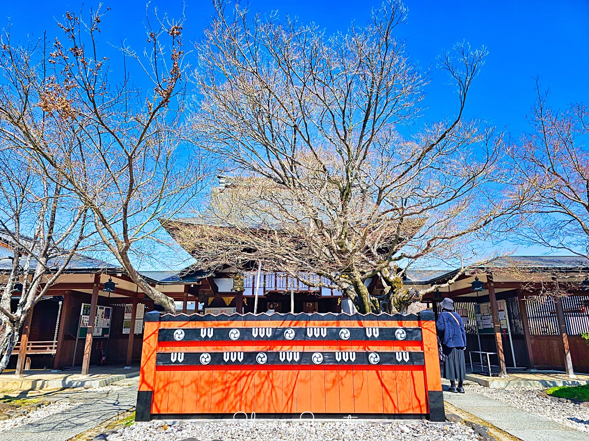 【京都車折神社】藝能神社＋早櫻秘境！從二月底一路賞櫻到四月，嵐山旁必訪神社 @兔兒毛毛姊妹花