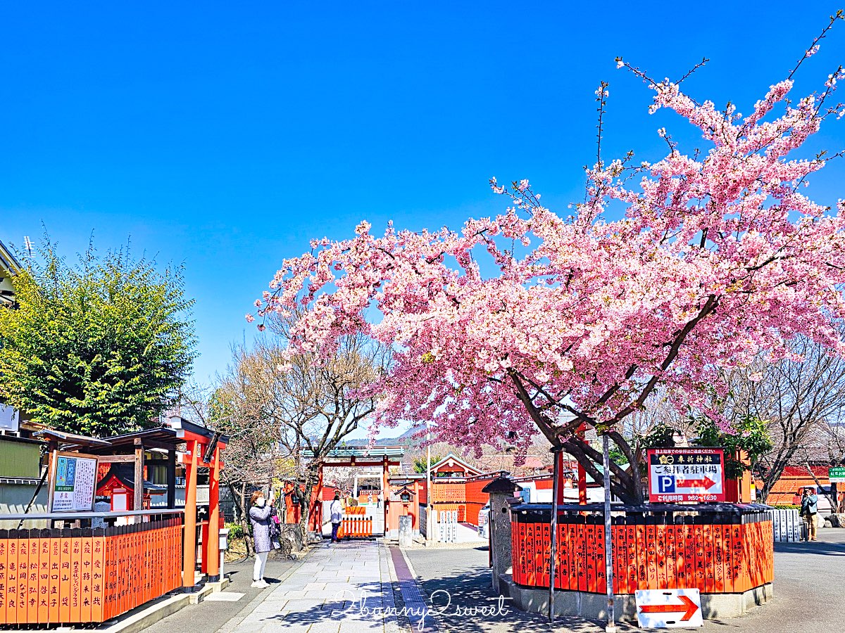【京都車折神社】藝能神社＋早櫻秘境！從二月底一路賞櫻到四月，嵐山旁必訪神社 @兔兒毛毛姊妹花