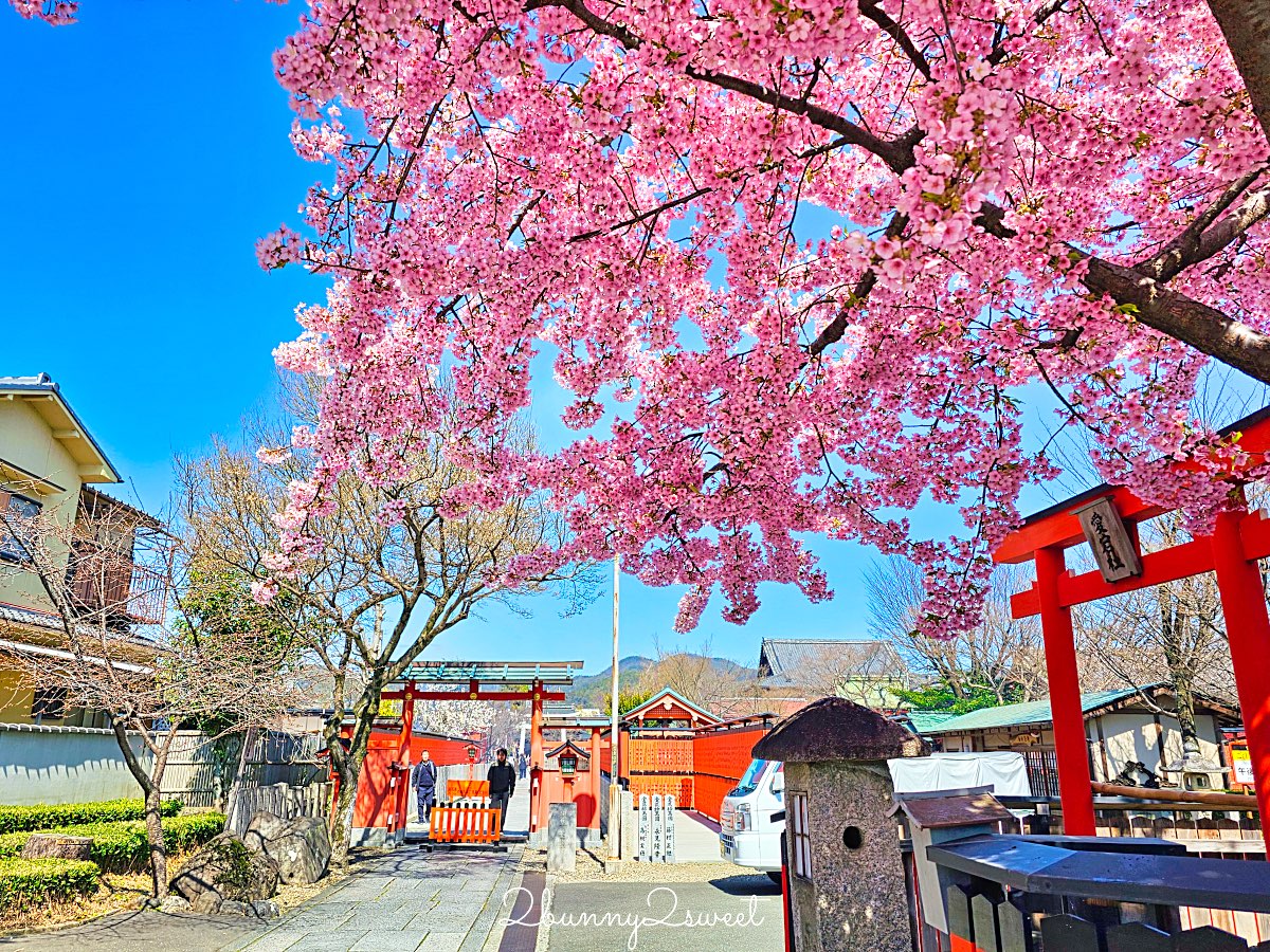 【京都車折神社】藝能神社＋早櫻秘境！從二月底一路賞櫻到四月，嵐山旁必訪神社 @兔兒毛毛姊妹花