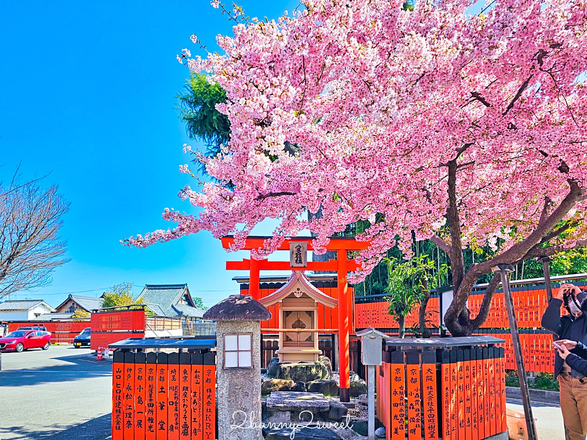 【京都車折神社】藝能神社＋早櫻秘境！從二月底一路賞櫻到四月，嵐山旁必訪神社 @兔兒毛毛姊妹花