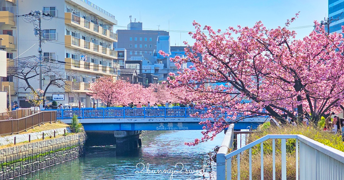 【大橫川散步道】東京河津櫻景點推薦：木場公園旁滿開櫻花步道，東京2月賞櫻推薦早櫻秘境 @兔兒毛毛姊妹花