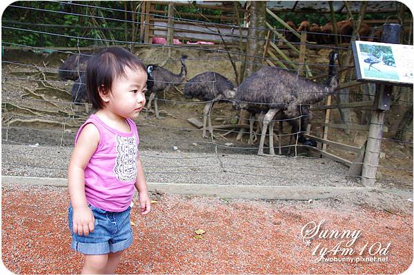 [新竹。親子景點] 餵食可愛動物初體驗@綠世界生態農場 @兔兒毛毛姊妹花