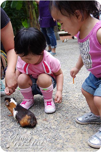 [新竹。親子景點] 餵食可愛動物初體驗@綠世界生態農場 @兔兒毛毛姊妹花