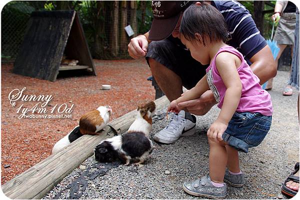 [新竹。親子景點] 餵食可愛動物初體驗@綠世界生態農場 @兔兒毛毛姊妹花