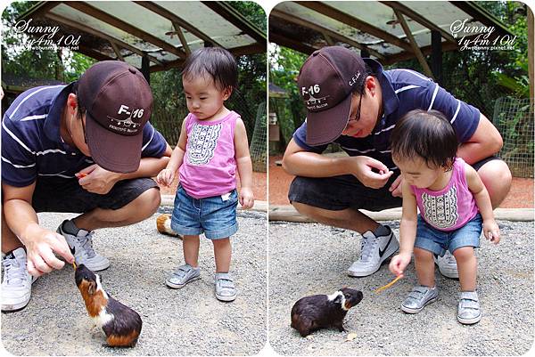 [新竹。親子景點] 餵食可愛動物初體驗@綠世界生態農場 @兔兒毛毛姊妹花