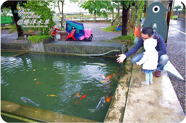 [兔兒遊宜蘭。1Y6M+] 雨天小旅行~勝洋水草 @兔兒毛毛姊妹花