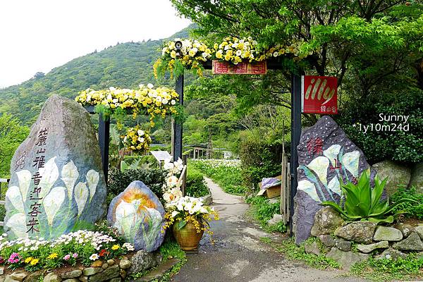 [兔兒遊台北。1Y10M+] 春の湯花小旅行(4)~綠山谷 Cafe 午茶 &#038; 漫步頂湖海芋田 @兔兒毛毛姊妹花