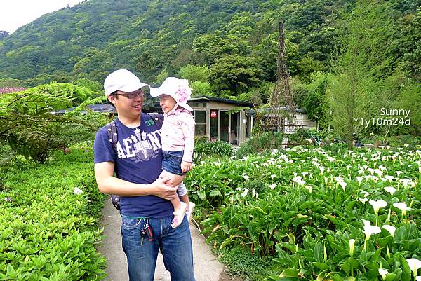 [兔兒遊台北。1Y10M+] 春の湯花小旅行(4)~綠山谷 Cafe 午茶 &#038; 漫步頂湖海芋田 @兔兒毛毛姊妹花