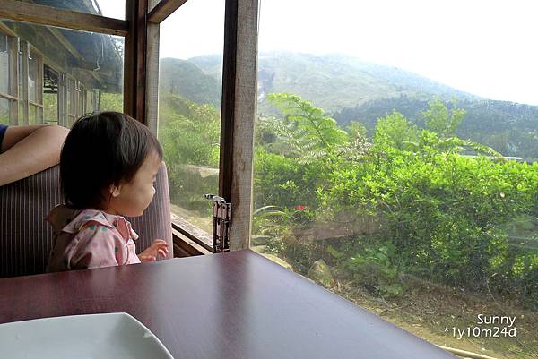 [兔兒遊台北。1Y10M+] 春の湯花小旅行(4)~綠山谷 Cafe 午茶 &#038; 漫步頂湖海芋田 @兔兒毛毛姊妹花